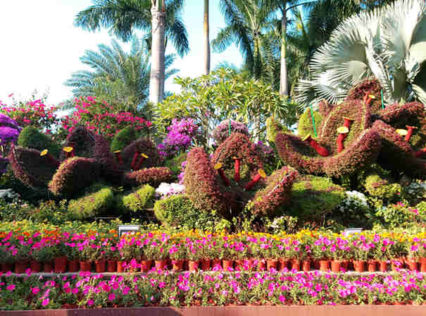 深圳蓮花山公園·風景