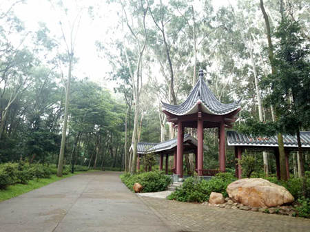 深圳免費(fèi)旅游景點(diǎn)大全之筆架山公園圖片