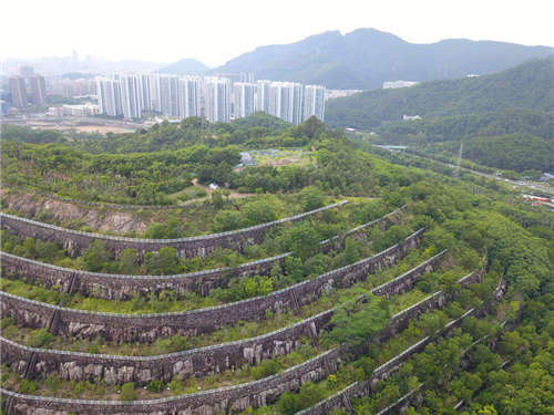 安托山公園尚未開放山頂就已成共享單車墳場(chǎng)