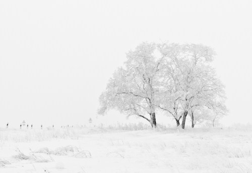 夢見大雪是什么意思