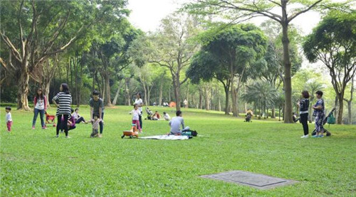 深圳免費的公園那么多，你去全了嗎？