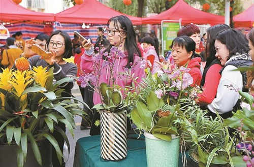 19年春節(jié)深圳將再添一大型迎春花市 蓮花山附近