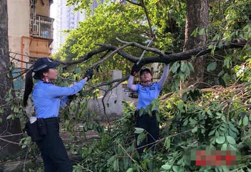 深圳人注意 受臺風影響的交通違規(guī)不進行處罰