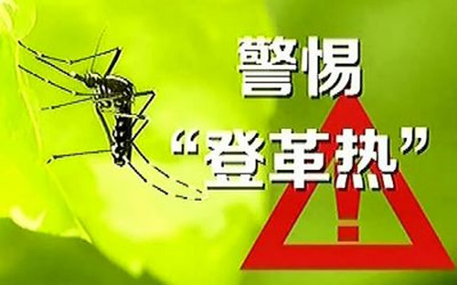 鹽田現(xiàn)兩例本地登革熱病例 市民需小心蚊子