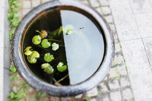 夢見水缸是什么意思