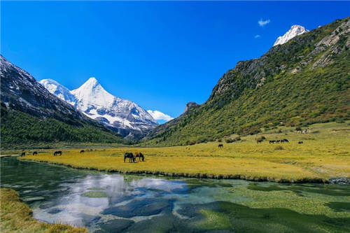 跟著抖音去旅行 抖音超火的網(wǎng)紅景點(diǎn)推薦