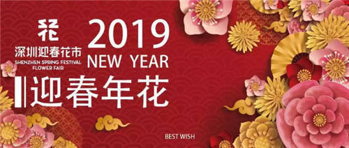 2019深圳迎春花市最全攻略 年味十足花市嘉年華