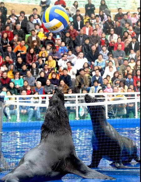 史上最低 69.9元搶野生動物園門票