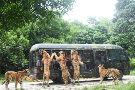 史上最低 69.9元搶野生動物園門票