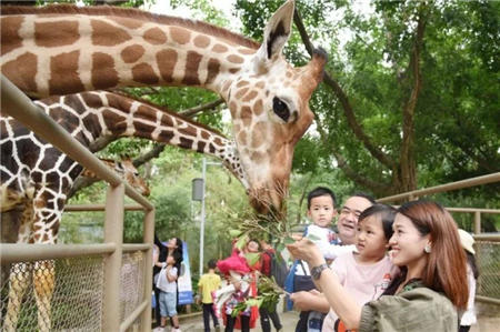 史上最低 69.9元搶野生動物園門票