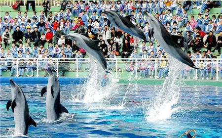 史上最低 69.9元搶野生動物園門票