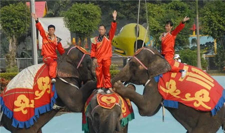 史上最低 69.9元搶野生動物園門票