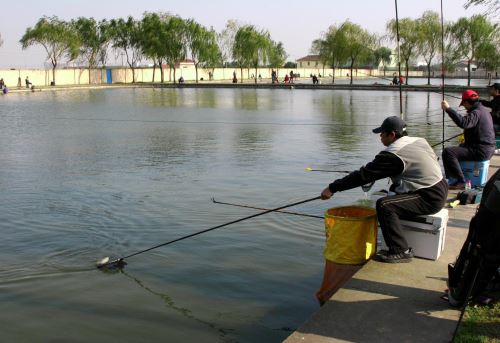 夢見在河邊釣魚是什么意思