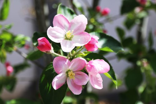 摩羯座今日運勢2019年3月5日