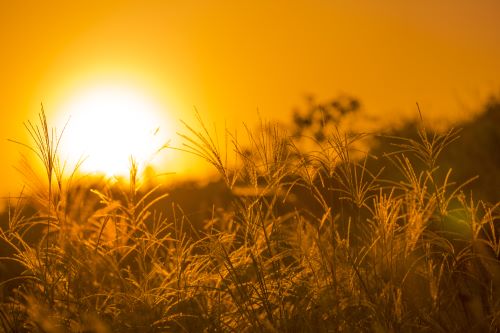 天秤座今日運(yùn)勢(shì)2019年3月6日