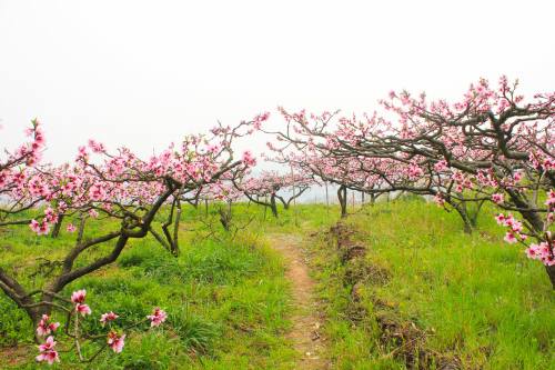 2019重慶清明節(jié)好玩的地方大全