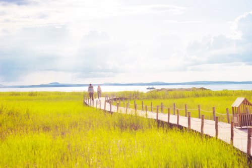 金牛座今日運(yùn)勢(shì)2019年4月2日