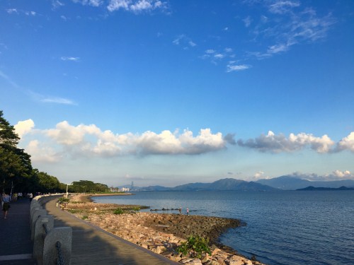 深圳灣公園美如畫 從這個(gè)地鐵口出能看到海