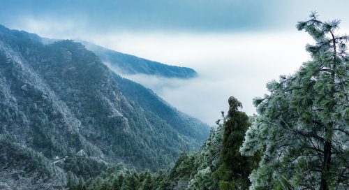 2019廬山門票多少錢 廬山門票優(yōu)惠政策