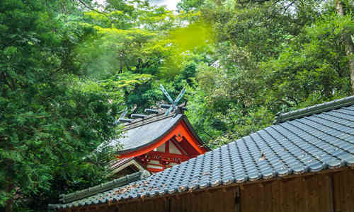 房屋后有什么風水好 屋后風水禁忌