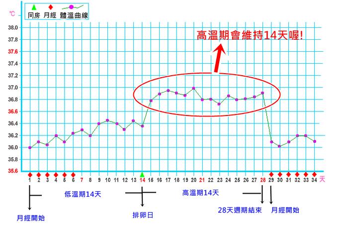 基礎(chǔ)體溫怎么測(cè) 基礎(chǔ)體溫曲線圖