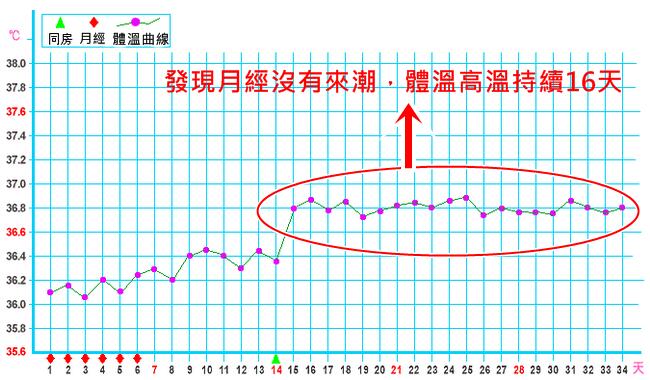 基礎(chǔ)體溫曲線圖