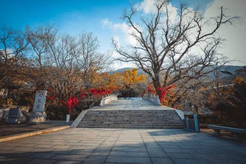 2019花果山門票多少錢 花果山門票優(yōu)惠政策