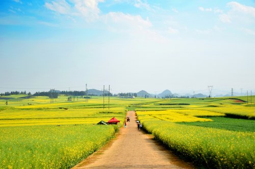 2019端午云南哪里好玩 云南端午旅游好去處