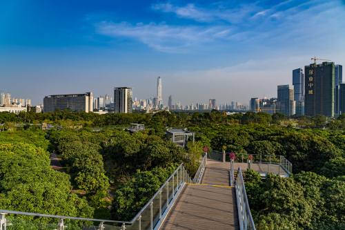 深圳福田五大親子打卡地 很適合帶孩子玩