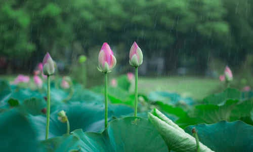 頻繁降雨今日暫歇 高考期間暴雨可能性小