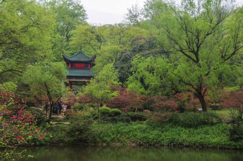 深圳特色好去處 有深圳特色的地方大全