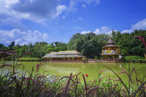 2019西雙版納必去景點排名 西雙版納必去景點一覽