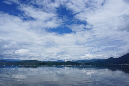 瀘沽湖海藻花幾月開 瀘沽湖海藻花最佳觀賞季節(jié)