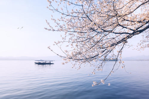 雙魚座今日運勢2019年6月19日