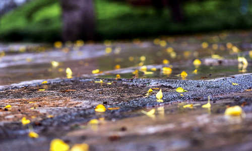 出行請(qǐng)注意 今明深圳局地有暴雨伴隨短時(shí)大風(fēng)