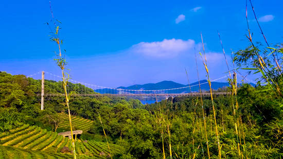 華僑城茶溪谷景區(qū)閉園升級(jí)改造