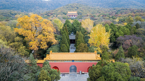 南京秋天好玩的景點(diǎn) 南京秋天適合玩的地方