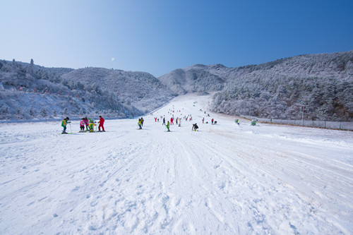 國外滑雪哪里比較好 哪里滑雪好玩