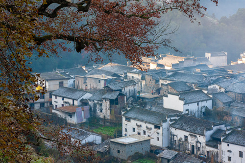 六月份適合去哪旅游 三大生態(tài)游目的地推薦