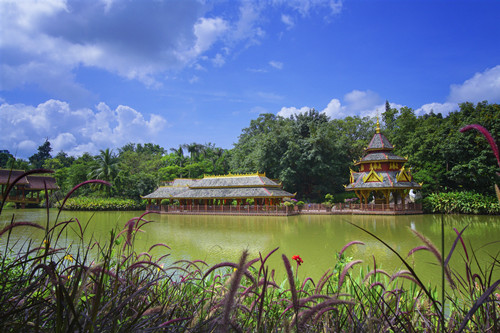 西雙版納曼聽(tīng)公園門(mén)票 篝火晚會(huì)價(jià)格及時(shí)間