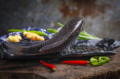 什么魚(yú)下奶好 這幾種魚(yú)很有效