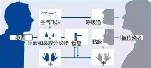 蚊子會(huì)不會(huì)傳播新型冠狀病毒 怎么防范