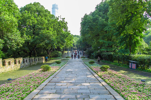 長沙免費公園有哪些 這些免費又好玩