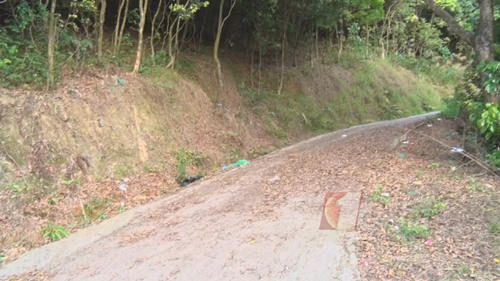 羊臺山公園一登山者倒地不醒猝死