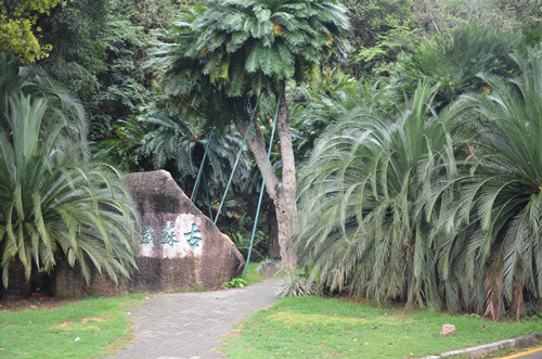 仙湖植物園有什么好玩的 仙湖植物園游玩攻略