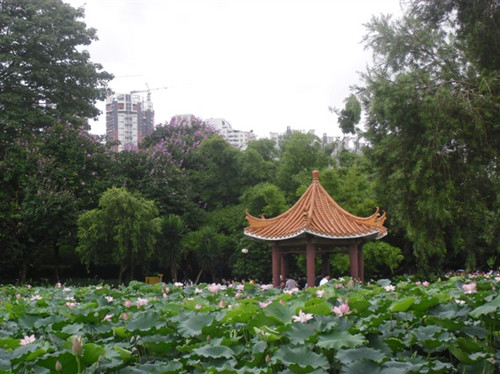 深圳值得一去的公園有哪些 這幾個必去