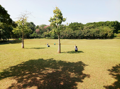 2020深圳適合野餐的公園安利 這幾個不容錯過