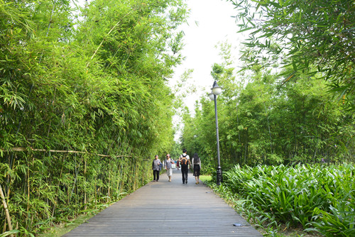 2020深圳適合野餐的公園安利 這幾個(gè)不容錯(cuò)過(guò)