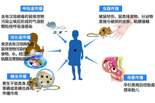 對(duì)嘴喝罐裝飲料感染出血熱怎么回事 出血熱癥狀