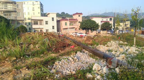 深圳又有“網(wǎng)紅”公園開放 景美還免費